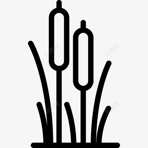 芦苇自然植物和花卉图标svg_新图网 https://ixintu.com 植物和花卉 自然 芦苇