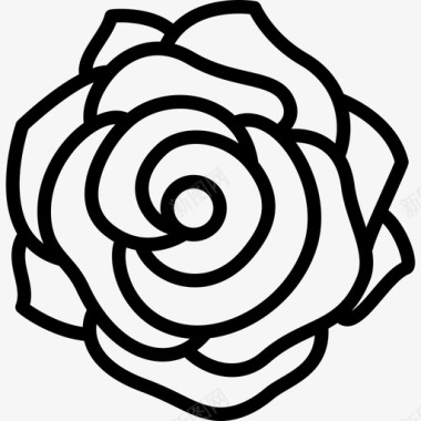 玫瑰花1线形图标图标