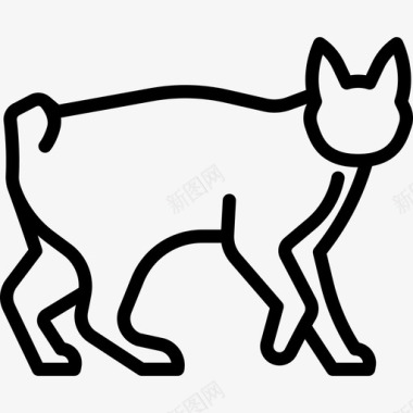 日本短尾猫动物猫种身体图标图标