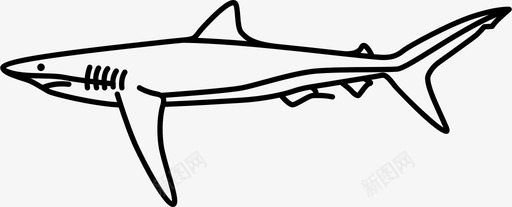 蓝鲨图标图标