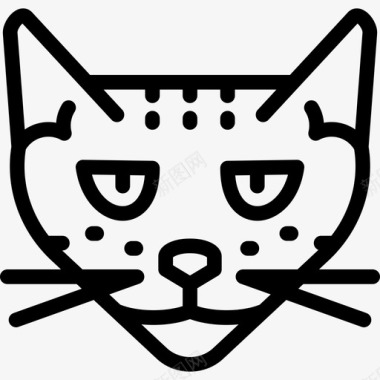 萨凡纳猫猫品种直系图标图标