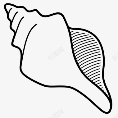贝壳海螺甲壳类动物图标图标
