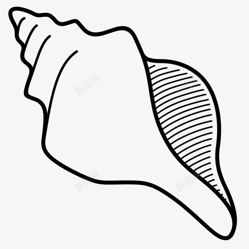 贝壳海螺甲壳类动物图标svg_新图网 https://ixintu.com 海洋 海螺 甲壳类动物 贝壳