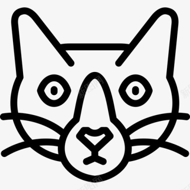 雪鞋猫猫品种直系图标图标