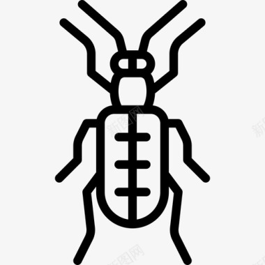 芦笋甲虫昆虫线状图标图标