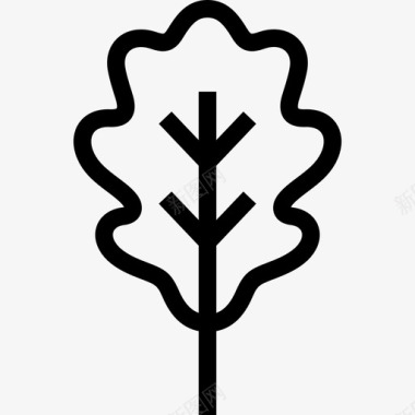 橡树花和叶线形图标图标