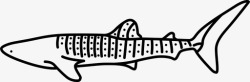 鲸鲨鲸鲨最大的过滤器图标高清图片