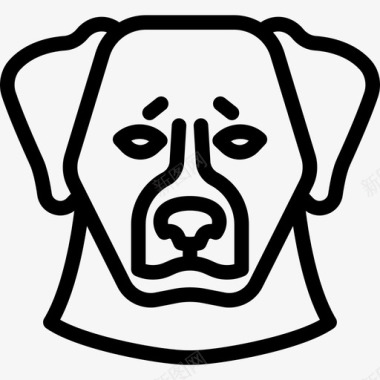 伯尔尼山地犬犬种头直系图标图标