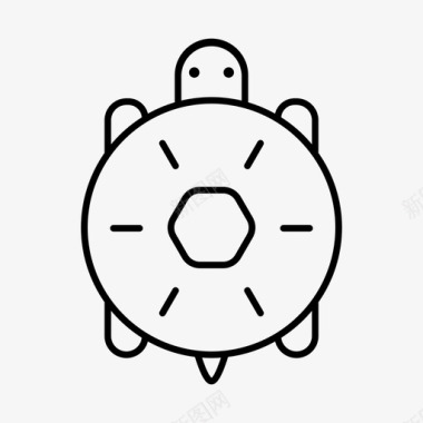 乌龟生菜老的图标图标