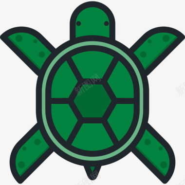 海龟动物10线颜色图标图标