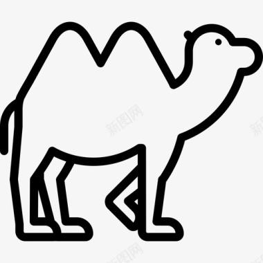骆驼动物5直系图标图标