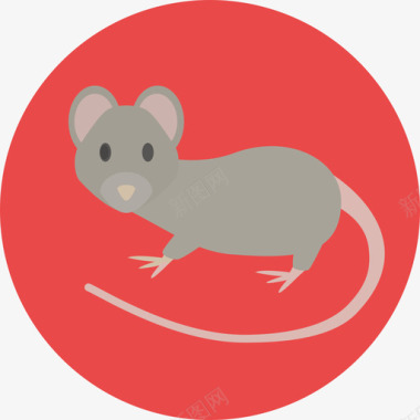老鼠宠物圆扁的图标图标
