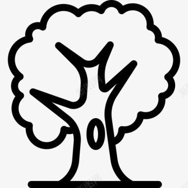 橡树自然植物和花卉图标图标