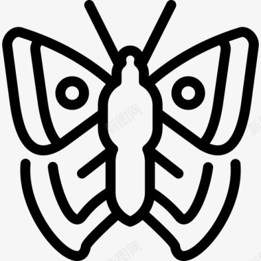大型玳瑁蝴蝶蝴蝶1线形图标图标