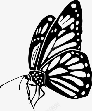 蝴蝶动物飞行图标图标