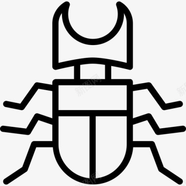 甲虫自然3直系图标图标