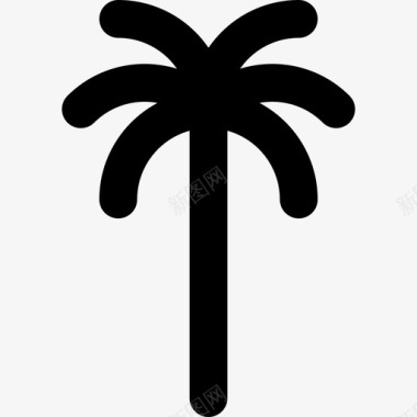 线性生态2棵棕榈树图标图标