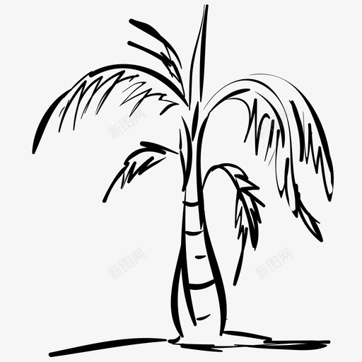 棕榈植物外来植物图标svg_新图网 https://ixintu.com 叶子 外来植物 棕榈 植物