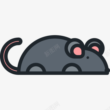 老鼠动物10只线形颜色图标图标