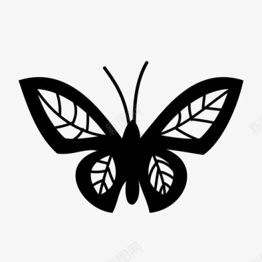 蝴蝶美人昆虫图标图标