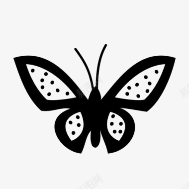 蝴蝶美人昆虫图标图标