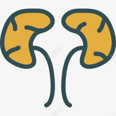 肾脏医学9线性颜色图标图标