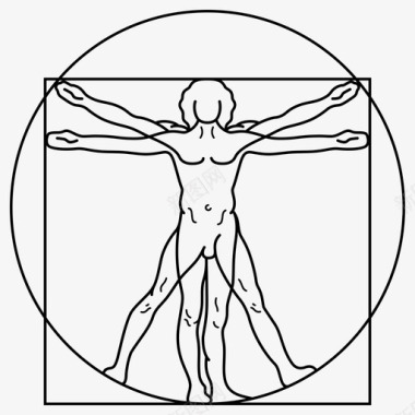 人体解剖学达芬奇人体工程学人体解剖学图标图标