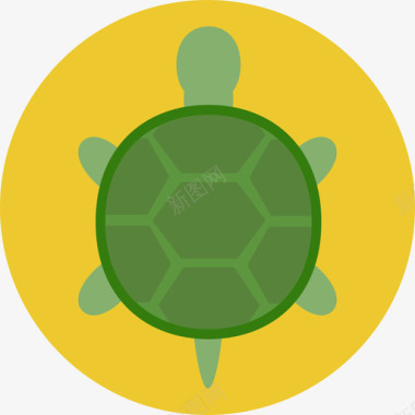 乌龟宠物圆扁图标图标