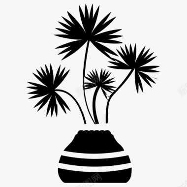 蓟马俾斯麦扇形棕榈图标图标