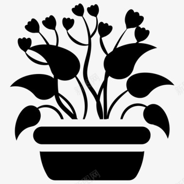 非洲紫罗兰开花植物室内植物图标图标