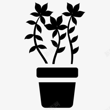 英国常春藤室内植物室内植物和花卉雕文图标图标