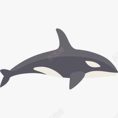 虎鲸动物19扁平图标图标