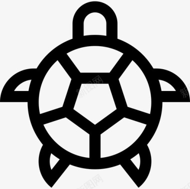 海龟海洋生物5直系图标图标