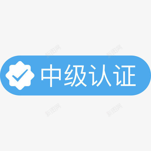 中级认证svg_新图网 https://ixintu.com 中级认证