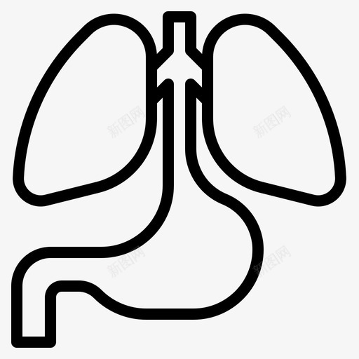 解剖学身体健康图标svg_新图网 https://ixintu.com 人 健康 研究对象 肺 解剖学 身体