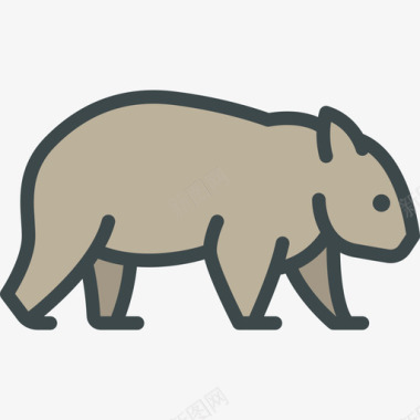 袋熊森林动物3线性颜色图标图标