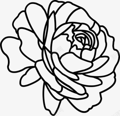 花植物性玫瑰图标图标