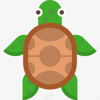 海龟动物水生动物收藏图标图标