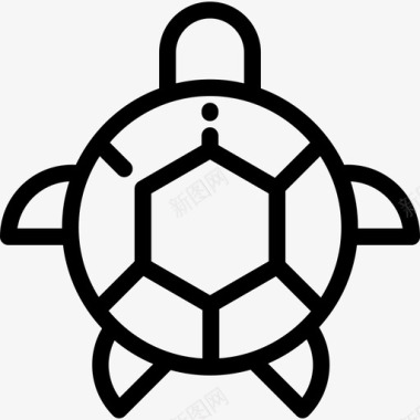 海龟海洋生物3直系图标图标