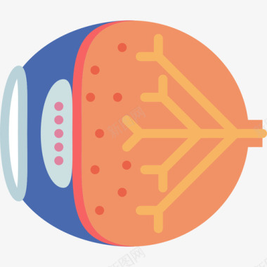 眼睛医学断言扁平图标图标