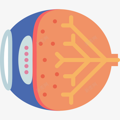 眼睛医学断言扁平图标svg_新图网 https://ixintu.com 医学断言 扁平 眼睛