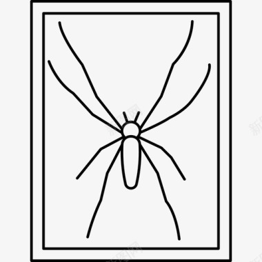蜘蛛杂集浅圆形图标图标
