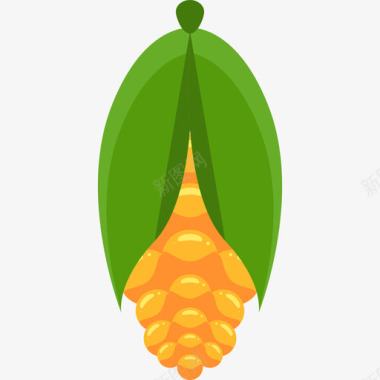 玉米农业平坦图标图标