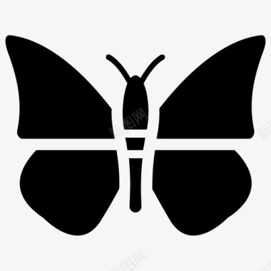 蝴蝶昆虫自然和生命雕文图标图标