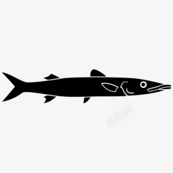 水生梭鱼梭鱼鱼海洋图标高清图片