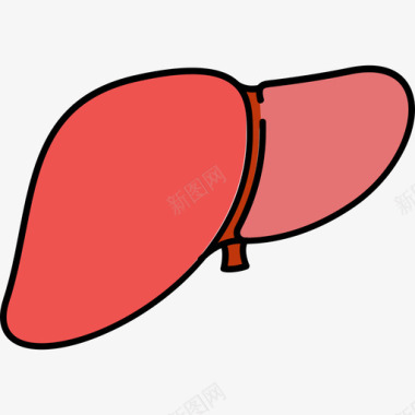 肝脏医用14颜色128px图标图标