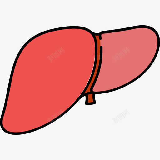 肝脏医用14颜色128px图标svg_新图网 https://ixintu.com 医用14 肝脏 颜色128px