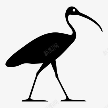朱鹮象形文字鸟埃及文图标图标