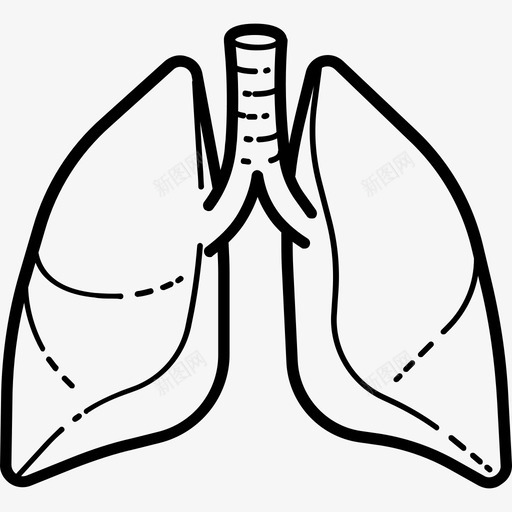 肺人体解剖手工绘制图标svg_新图网 https://ixintu.com 人体解剖 手工绘制 肺