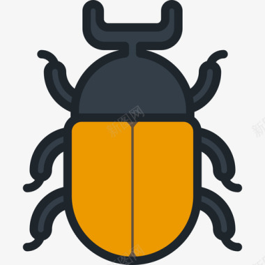 甲虫动物10线形颜色图标图标